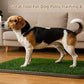 Dog Grass Pad with Tray, 34"x22" Silicone Base Washable Reusable Pee Pad & Grass Pad - Non-Slip, Easy-Clean Indoor Outdoor Dog Potty Toilet (34" x 22")