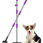 QiMH Upgraded Dog Pooper Scooper Extra Large, Adjustable Long Handle Stainless Metal Pet Poop Tray and Rake Set for Large Medium Small Dogs, Dog Waste Removal Bin Rake, Great for Grass, Street, Gravel