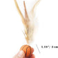 Cat Toy Balls, 5 PCS Colorful Feather Bouncy Balls for Cats No Noise Interactive Kitten Toys Cat Exercise Ball, Safe for Your Kitty (B)