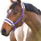 HORZE Howard Soft Fleece Padded Adjustable Polyester Horse Halter - Purple - Shetland