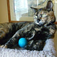 Wool Cat Toys - Felt Cat Toy Balls for Small Pet Fetch and Play - Eco Friendly Quiet Wool Ball Cat Toy for Cats and Kittens - Choose Your Colors (Blue)