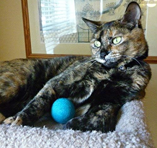 Wool Cat Toys - Felt Cat Toy Balls for Small Pet Fetch and Play - Eco Friendly Quiet Wool Ball Cat Toy for Cats and Kittens - Choose Your Colors (Blue)