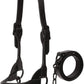 Weaver Livestock Leather Magic Show Cattle Halter, Adjustable, Modern Style Cow Calf Halter, Livestock Handling Equipment for Showing, Black