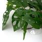 Reptile Plants for Terrarium, Amphibian Habitat Decor Artificial Hanging Plants with Suction Cup - Fake Swiss Cheese Plants Monstera Adansonii