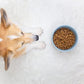 Waggo Ripple Ceramic Dog Bowl for Medium and Large Breeds - Modern with Matte Finish, Heavyweight Durable Pet Food and Water Dish Crock, Dishwasher Safe (Medium, Cloud)