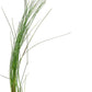 Aquarium Plants Discounts Potted Tall Hairgrass by AquaLeaf Aquatics - Easy Aquatic Live Plant- (Potted Tall Hairgrass, 5 Pack)