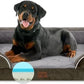 Comfort Expression Orthopedic Dog Beds for Extra Large Dogs, Memory Foam Dog Beds Jumbo Breed, Waterproof Dogs Beds with Bolster & Removable Cover(Olive Green)
