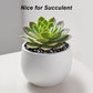 Terrarium Supplies,Virekm River Rocks, Decorative Ornamental Pebbles,Garden Landscaping Stones,Gravel Filler for Home Decoration Flower Bed Fish Tank Plants Vases Succulents