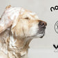 Pets - Gift Set with Travel Bag and Scrubber, Moisturizing and Gentle All Natural pet Shampoos with Aloe and Oatmeal