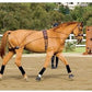 Dover Saddlery Balance Complete Training System, Color: Brown, Size: F/S