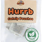 Interactive Catnip Bird Toy Set (10-Pack Replacement Catnip Pouches)