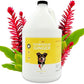 Bark2Basics Hawaiian White Ginger Dog Shampoo, 1 Gallon - Unique Herbal Blend, Natural Ingredients, Hawaiian White Ginger Scented, Cleans and Delivers Nutrients, Dilutes 16 to 1