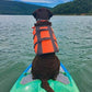 Perception Hi Life 11 | Sit on Top Kayak for Adults | Hybrid SUP Stand up Paddle Board Kayak | 11'