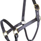 Schneiders Premier Lancaster Fixed Throat Leather Halter for Horses | 1" Single-Ply Leather | Lightweight Everyday Design | Brass Hardware