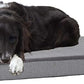 Barkbox Orthopedic Dog Bed with Memory Foam, Premium Comfort for Dogs and Puppies, Dog Beds for Joint Relief and Restful Sleep, Durable and Easy to Clean - Grey, Medium