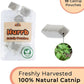 Interactive Catnip Bird Toy Set, Interactive Cat Toys for Indoor Cats, Cat Feather Toy, Suction Cup, Weighted Base, 5 Replacement Birds, Feathers & Bells, Realistic Bird Impression