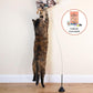 Interactive Catnip Bird Toy Set (5 Replacement Catnip Birds)