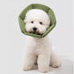 Cat Cone Collar - Soft Waterproof Elizabethan for Cats, Cute Green Flower Anti-Lick Recovery Collar, Adjustable Healing Collar for Wound Care & Surgery，S