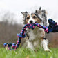 Mammoth Flossy Chews Color Rope Tug – Premium Cotton-Poly Tug Toy for Dogs – Interactive Dog Rope Toy – Tug Dog Chew Toy