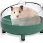 Meow&Woof Hamster Sand Bath Container, Large Sandbox Toilet Gerbil Batheoom, Tiny Chinchilla Dust Bathtub Sand Bath Box for Hamster Cage Accessories 6.5 Inch-Dark Green