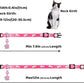 Personalized Breakaway Cat Collars Glow-in-The-Dark with ID Tag, Bell - Safety Quick - Release, Customizable for Female Male Kittens & Cats (Pink)
