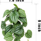 Reptile Plants for Terrarium, Amphibian Habitat Decor Artificial Hanging Plants with Suction Cup - Fake Calathea Orbifolia