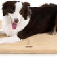 Made4Pets Dog Crate Pad Bed for Medium Large Dogs, Washable & Reversible, Anti-Slip Kennel Mat for Cozy Sleeping, Soft Fluffy Dog Bed for Indoor & Outdoor Use, 35"x23", Khaki