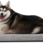Diggs Bolstr Orthopedic Dog Bed with Headrest - Dog Crate Bed for Evolv Crate & Other Standard Pet Kennels - Durable & Comfortable - (Medium)
