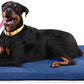 K9 Ballistics Tough Ripstop Orthopedic Dog Bed - Durable Pad with Washable Cover, for Wire Crates, Tie-Downs Included, Size: X-Large 47"x29", Blue Quartz