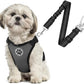 SlowTon Dog Seat Belt Harness for Car, Dog Car Harness Adjustable Mesh Breathable & Dog Seatbelt Safety Tether with Elastic Bungee for Small Medium Large Pets(Grey, Double Clip, XS)