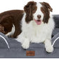 Comfort Expression Waterproof Large Dog Beds Orthopedic Foam Dog Beds Sofa Comfy Pet Bed with Washable Removable Cover & Non-Slip Bottom(Large,Dark Grey)