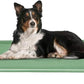 Acrimet Cooling Elevated Pet Dog Bed, Washable and Breathable Mesh Cot, Stainless Steel Frame, Indoor & Outdoor Use, fits Dogs up to 110 lbs (Size: 40” x 24”), Green, 1 Unit