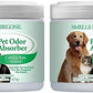 SMELLS BEGONE Air Freshener Odor Absorber Gel - 15 oz, Pack of 2 - Absorbs and Eliminates Odor in Pet Areas, Bathrooms, Cars, & Boats - Made with Essential Oils - Calming Rain Scent