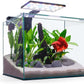 Imagitarium Glass Betta Aquarium Kit 5 Gallons