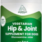 Plant-Based Liquid Glucosamine for Dogs, 1600mg Joint Support with Chondroitin, MSM & Omega 3-6-9, Shellfish-Free Dog Arthritis Supplement for Mobility & Flexibility, Made in USA, 32 oz