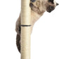 Amazon Basics Cat Scratcher - Indoor Classic Single Cat & Kittens Scratching Post, Medium (31.5"H) - Grey