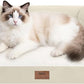 Small Dog Bed and Cat Sofa Waterproof Orthopedic Dog Beds for Small Dogs Cat Bed Comfy Pet Couch Sofa Beds with Washable Removable Cover & Non-Slip Bottom