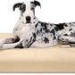K9 Ballistics Tough Ripstop Orthopedic Rectangle Dog Bed Removable Washable Cover, Solid Orthopedic Foam for Size XXL Giant Big Dogs 68"x40", Sandstone
