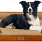 Comfort Expression Large Dog Beds Orthopedic Foam, Waterproof Dog Beds for Large Sized Dogs, Comfy Washable Pet Bed Sofa with Removable Cover & Non-Slip Bottom(Caramel)