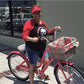 Cruiser Candy Bike Basket Liner Waterproof, Universal Fit for Most Bike Baskets, Stylish 2in1Tote, Bike Basket Cover, EBiKE Front Wire Or Wicker Bike Baskets Fits Up to 15x12x10