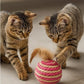 Ball for cat with Feathers - Balls for Cats – Natural Toy for Indoor Cats – Eco-Friendly, Durable, Interactive Play Balls for Kittens – Pet-Safe Chew & Scratch Toys (Red)