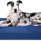 K9 Ballistics Tough Ripstop Orthopedic Rectangle Dog Bed Removable Washable Cover, Solid Orthopedic Foam for Size XXL Giant Big Dogs 68"x40", Blue Quartz