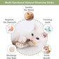 5 PCS Silvervine Sticks for Cats - Natural Cat Chew Toys for Teeth Cleaning, Kitten Teething & Aggressive Chewers