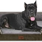 Comfort Expression XXL Orthopedic Dog Bed for Extra Large Dogs, Waterproof Orthopedic Foam Dogs Beds, Washable Dog Sofa Bed with Non-Slip Bottom & Removable Cover(XX-Large,Dark Green)