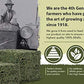 High Desert Alfalfa Hay for Rabbits, Guinea Pigs, Chinchillas & Small Pets – Protein-Rich Natural Hay for Young, Growing Animals – High-Fiber, Hand-Packed, Additive-Free, Grown in USA – 5 lb Box