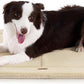 MADE 4 PETS Dog Crate Pad Bed for Large Dogs, Washable & Reversible, Anti-Slip Kennel Mat for Cozy Sleeping, Soft Fluffy Dog Bed for Indoor & Outdoor Use, 36"x27", Beige