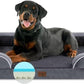 Comfort Expression Cooling Dog Bed, Jumbo Dog Bed for Extra Large Dogs, Memory Foam Orthopedic Bed, Large Breed Dogs, Waterproof Beds with Bolster & Removable Cover(Jumbo,Leaden Grey)