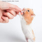 Hamster Food Pet Snacks for Small Rodents Yogurt Sandwich
