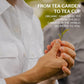 Grace Farms BREATHE Wellness Organic Tea Blend (100 Enveloped Pyramid Sachets w/ String & Tag) | Turmeric and Ginger with Adaptogenic Herbs | Immunity Support | Caffeine Free | Gives Back 100% of Profits