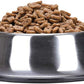 Cat Open Top Litter Box with Lid, Litter Mat, Poop Lifter Scoop & Kitten Kitty Stainless Steel Feeding Dish Bowl, Starter Kit 4 Pack for Small cat Within 5 Months (Grey-Four Entries)